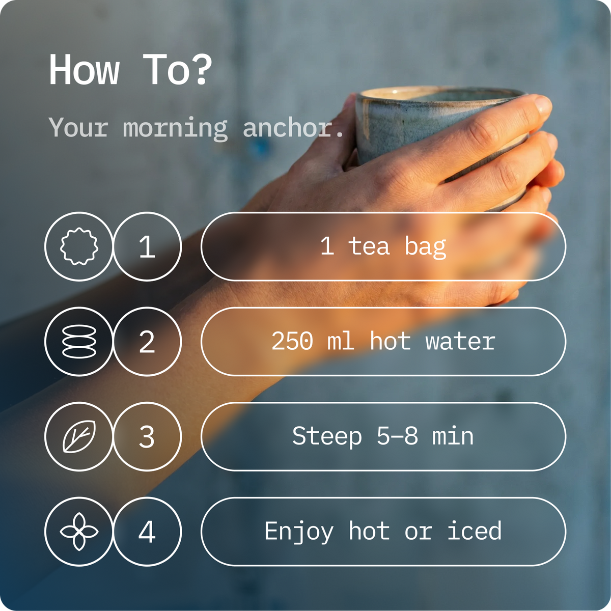 SYSTEMiQ Focus Tea