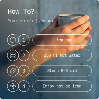 SYSTEMiQ Focus Tea